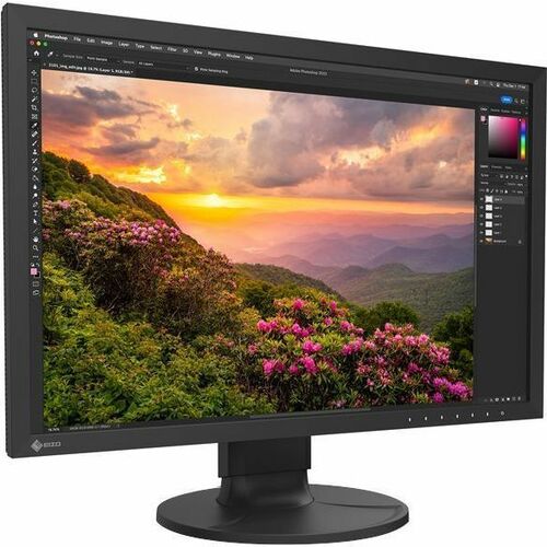 EIZO ColorEdge CS2400S 24" Class WUXGA LED Monitor - 16:10 - Black - CS2400S-BK