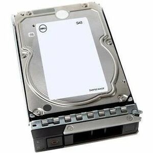 Dell 20 TB Hard Drive - 3.5" Internal - SAS (12Gb/s SAS) - 161-BBVH