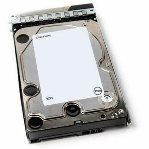 Dell 20 TB Hard Drive - 3.5" Internal - SATA (SATA/600) - 161-BBTG