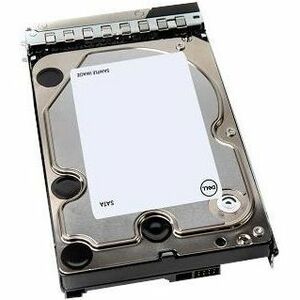 Dell 20 TB Hard Drive - 3.5" Internal - SATA (SATA/600) - 161-BBSV