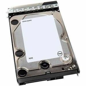 Dell 20 TB Hard Drive - 3.5" Internal - SATA (SATA/600) - 161-BBSX