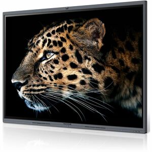 MaxHub V6 Classic C7530 Collaboration Display - C7530