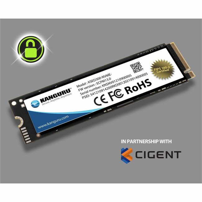 Kanguru Defender Opal SED300 CIG-KSED300-NV-Series 2 TB Solid State Drive - M.2 2280 Internal - PCI Express NVMe (PCI Express NVMe 4.0 x4) - Blue - TAA Compliant - CIG-KSED300-NV-2T