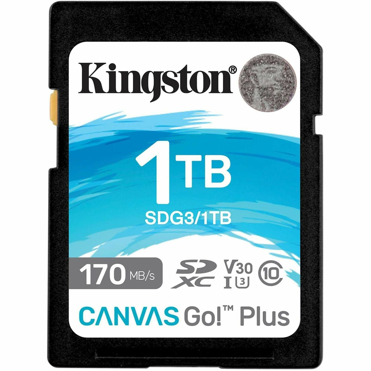 Kingston Canvas Go! Plus 1 TB Class 10/UHS-I (U3) V30 SDXC - SDG3/1TB