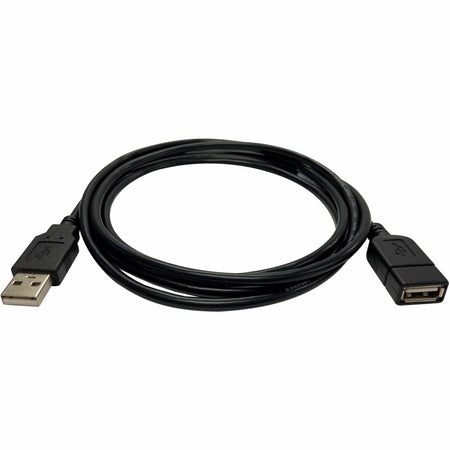 Black Box USB 2.0 Extension Cable - Type-A, Male/Female, Black - USB05E-0010-R2