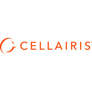 Cellairis Privacy Screen Protector - 11-0079064