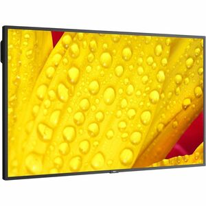 Sharp NEC Display MultiSync M431-2 Digital Signage Display - M431-2