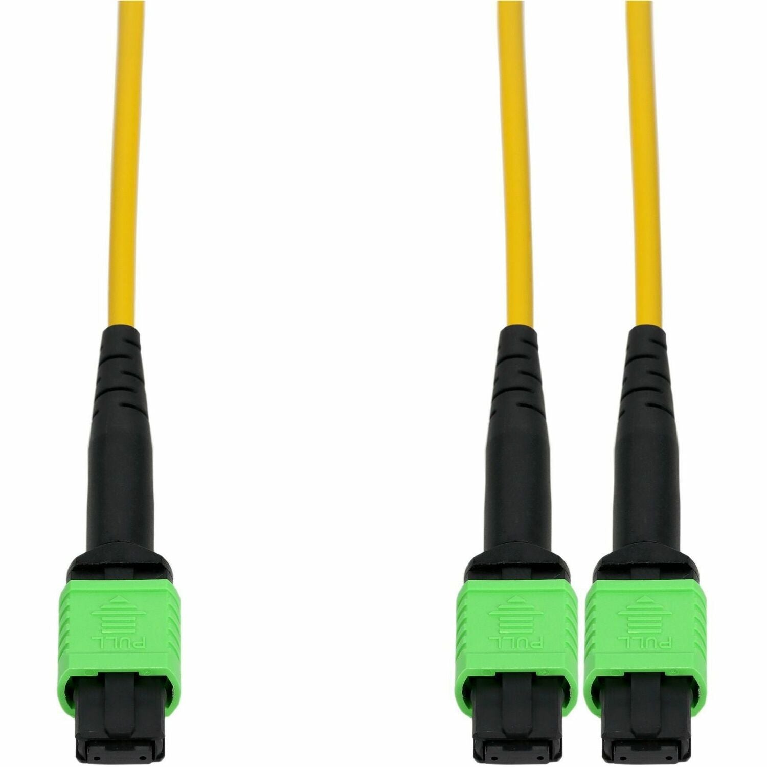 AddOn 7m AMPO-12 to 2xMPO Yellow OS2 OFNR (Riser-Rated) 12-Strand SMF Fiber Patch Cable - ADD-MPO-2MPO7MSMF