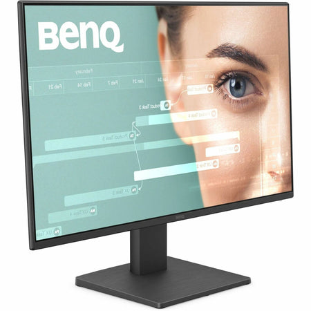 BenQ GW2491 24" Class Full HD LED Monitor - 16:9 - GW2491
