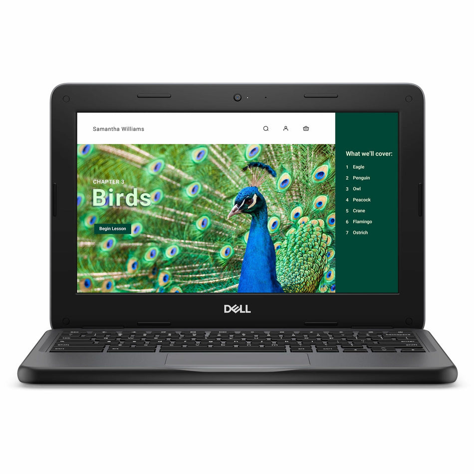 Dell Chromebook 3000 3120 11.6" Clamshell Chromebook - HD - 60 Hz - Intel N-Series N100 - 4 GB - 64 GB Flash Memory - English (US) Keyboard - Gray - 51R7C