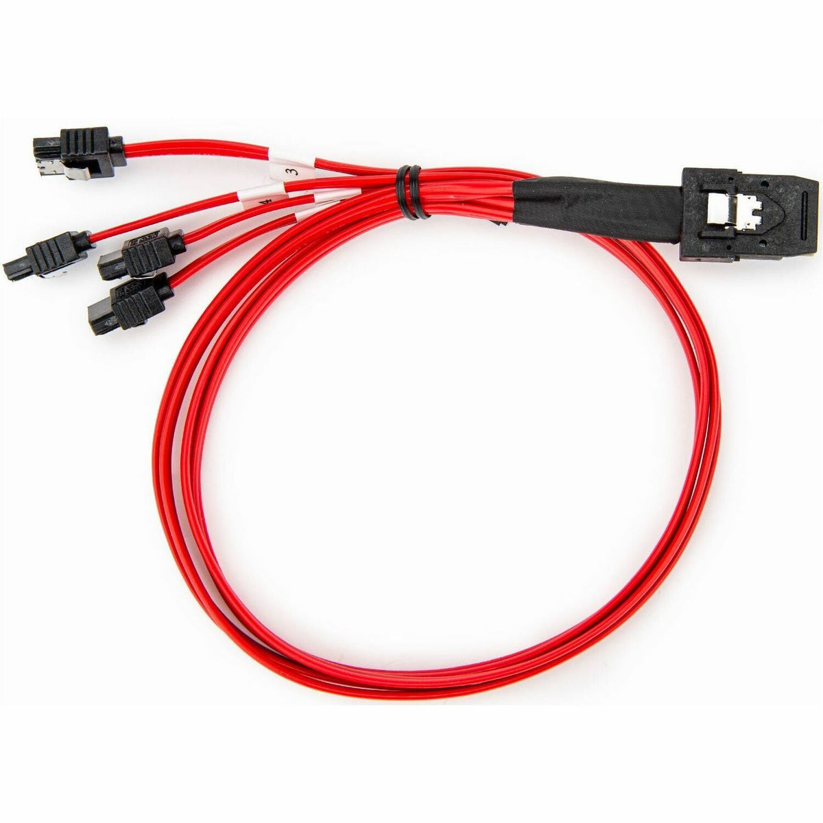 Rocstor 50cm Serial Attached SCSI SAS Cable - SFF-8087 to 4x Latching SATA - Y10C873-RD