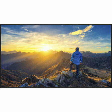 Sharp PN-E659 65" 4K UHD Professional Display - PN-E659
