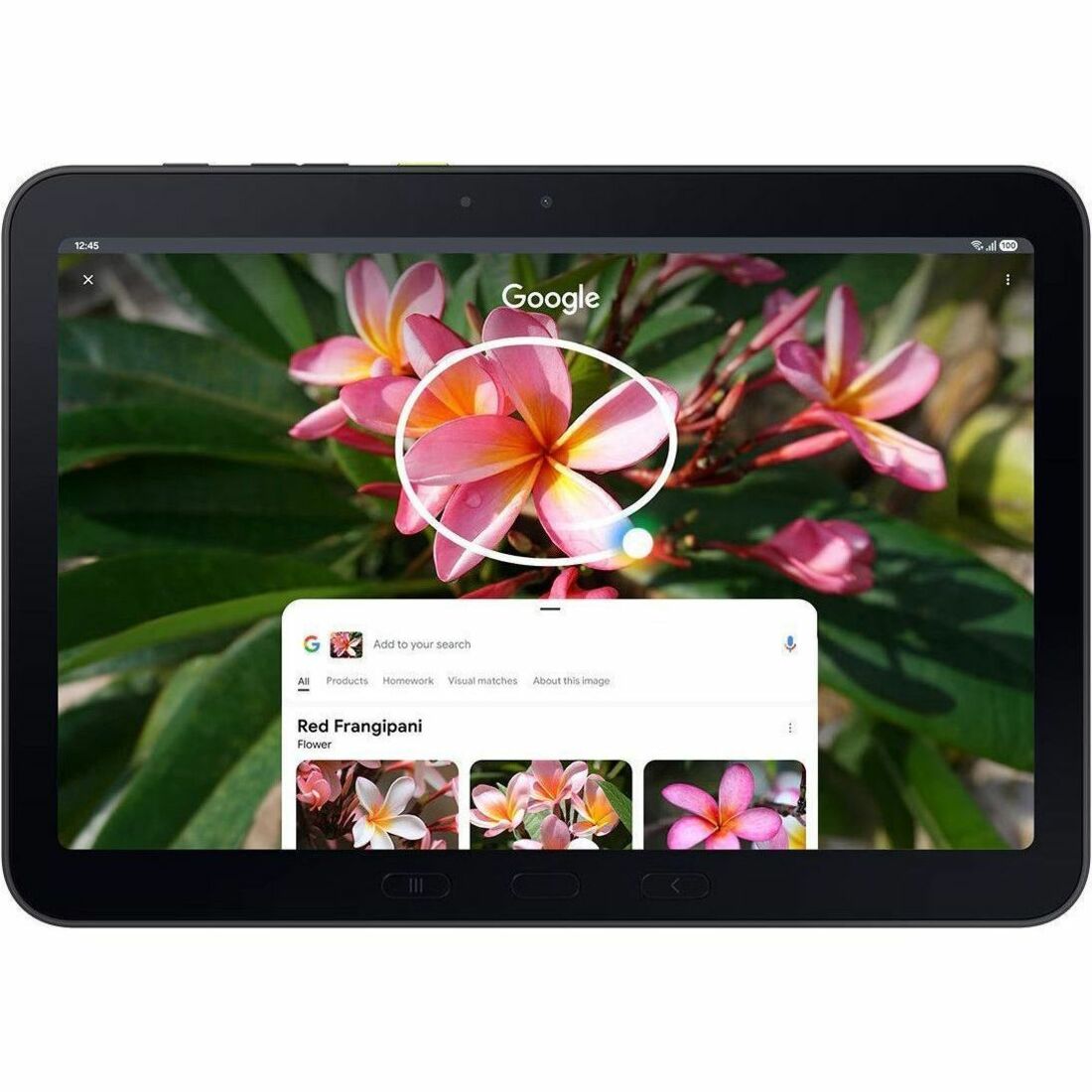 Samsung Galaxy Tab Active5 Pro 5G Enterprise Edition Rugged Tablet - 10.1" WUXGA - Qualcomm SM7635 Snapdragon 7s Gen 3 (4 nm) Octa-core - 8 GB - 256 GB Storage - 5G - Green - SM-X358UZGEN14