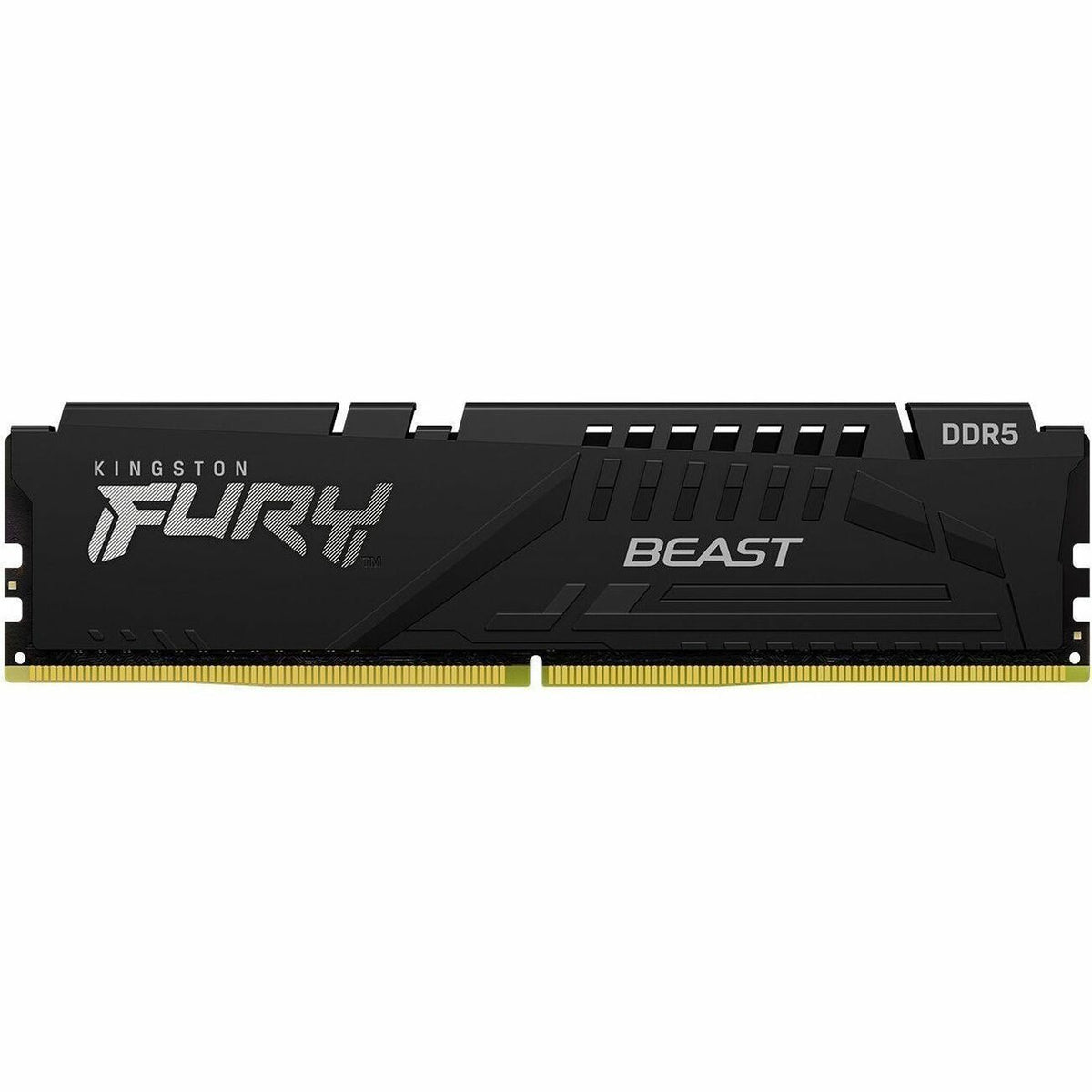 Kingston FURY Beast RAM Module - KF556C40BB2-32